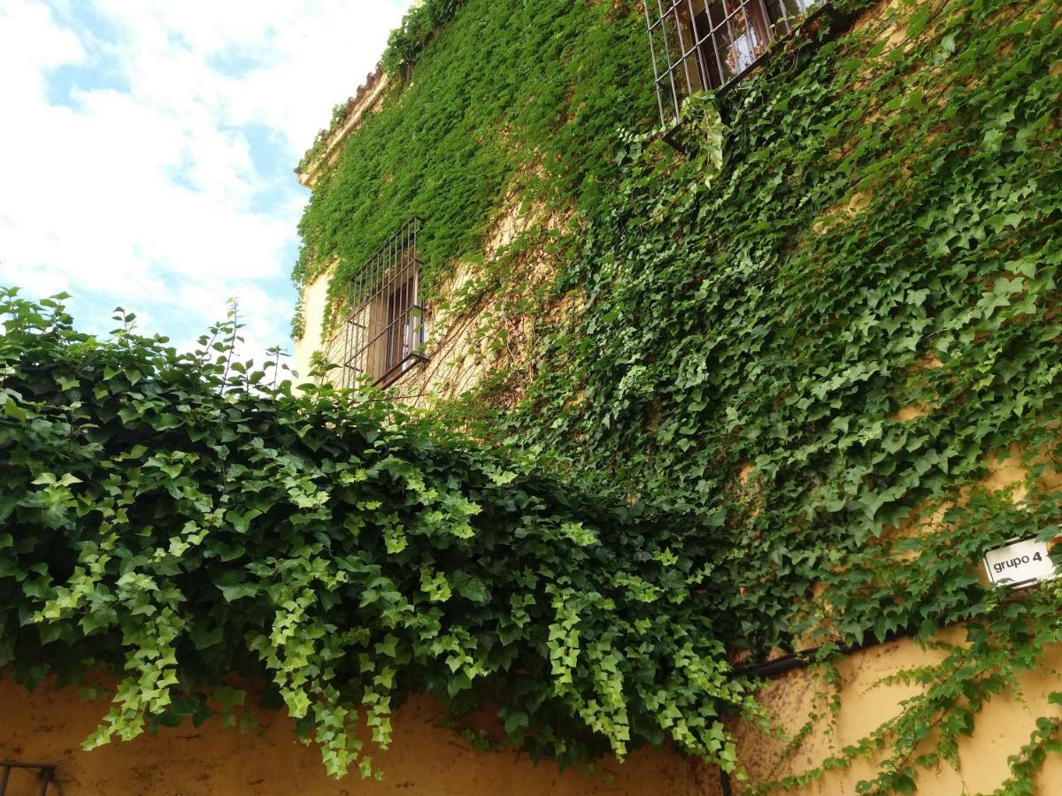 Flamencos Apartamento Con Garage 5 Pax Apartment Seville Exterior photo